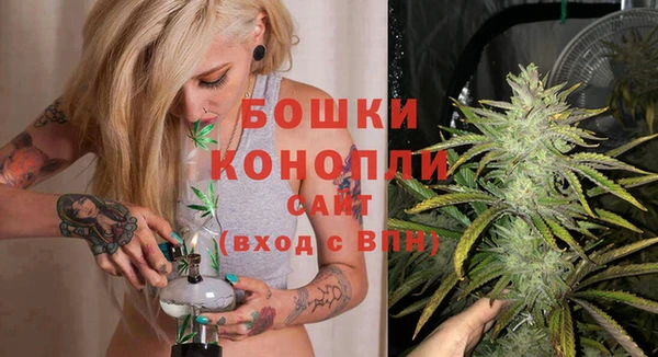 винт Бородино