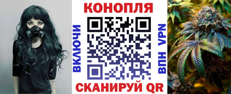 Марихуана планчик  Купить закладки  Новотроицк 
